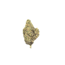 Northern Lights - Tier 1 Apotheca Exotic Indica THCA Flower