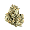 Colombian Gold - Tier 1 Apotheca Exotic Sativa THCA Flower