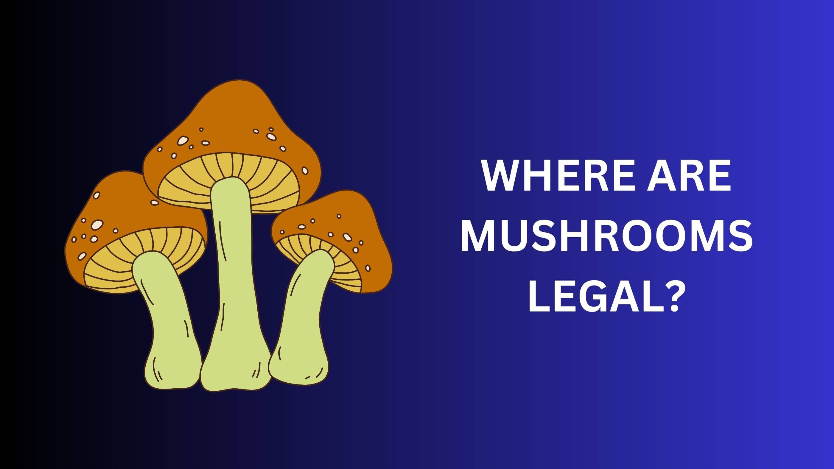 Where Are Mushrooms Legal? | Apotheca
